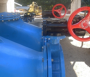 photo19